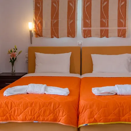 Отель Palmyra 3*