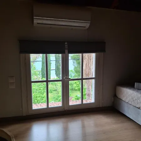 Palmyra 3*