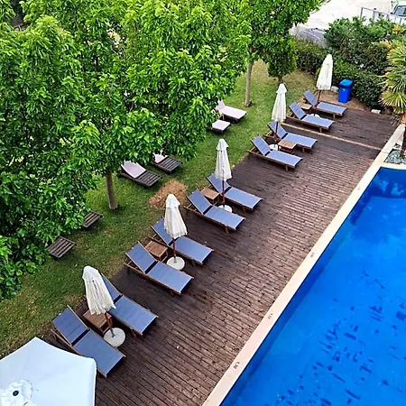 Palmyra 3*